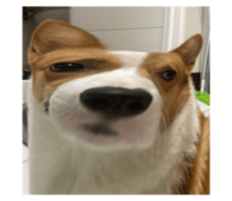 641797907