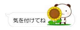 64181037