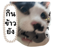 641812894