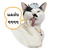 641812897