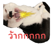 641812899