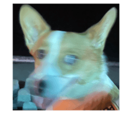 641815477