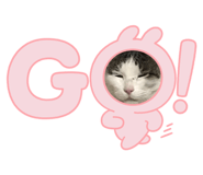 641817893