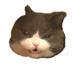 641818025