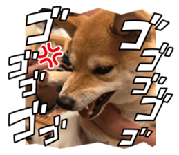641830030