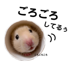 641835865
