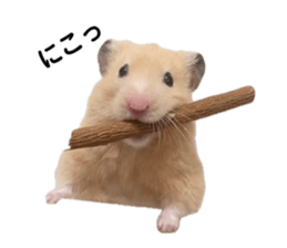 641835869