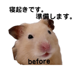641835871