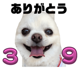 641972784
