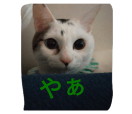 641982677