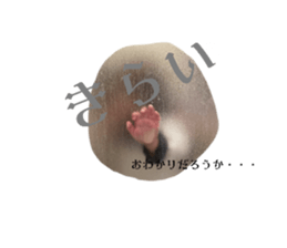 642000543