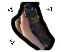 642007919