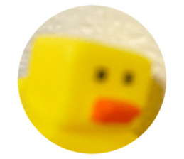642102089