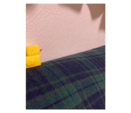 642102093