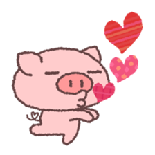 64243