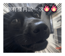 642437739