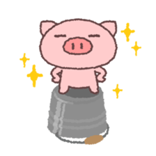 64244