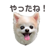 642449513