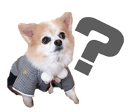 642449514
