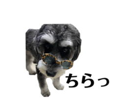 642455733