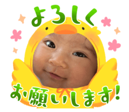 642456875