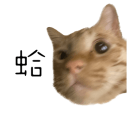 642464600