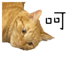 642464604