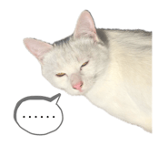 642485233