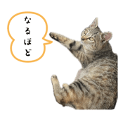 642485235