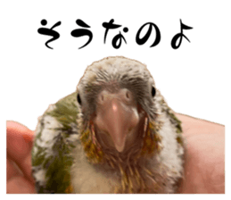 642493665