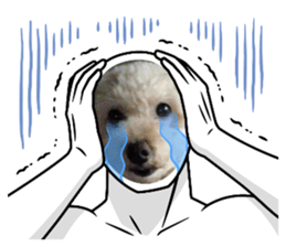 642494829