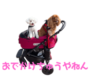 642593001