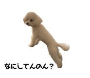 642593009