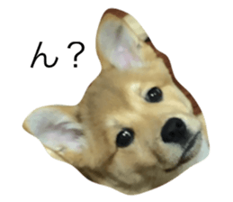 642595534