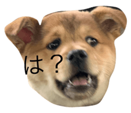 642595537