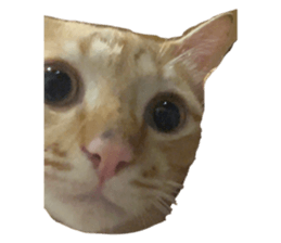 642612678