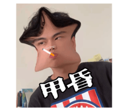 642620173