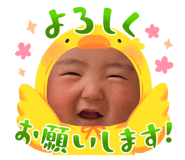 642638575