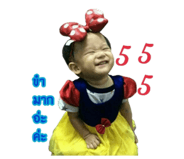 64264427