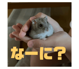 642653212