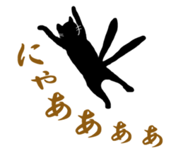 6426544