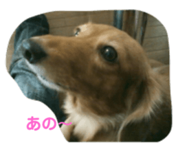 642664780