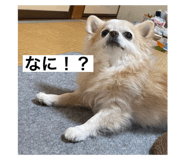 642664935