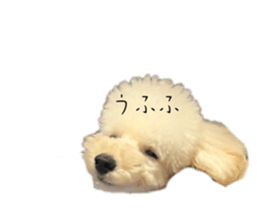 642669365