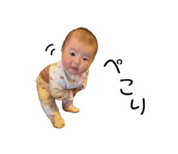 642669833