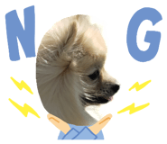 642673785
