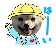 642673786