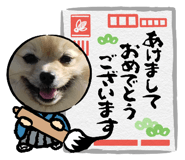 642673787