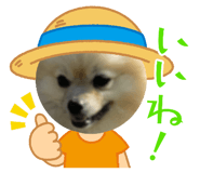 642673788