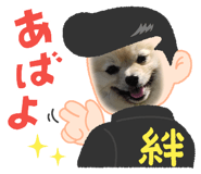 642673797